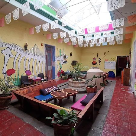 Iguana Hostel Oaxaca Εξωτερικό φωτογραφία