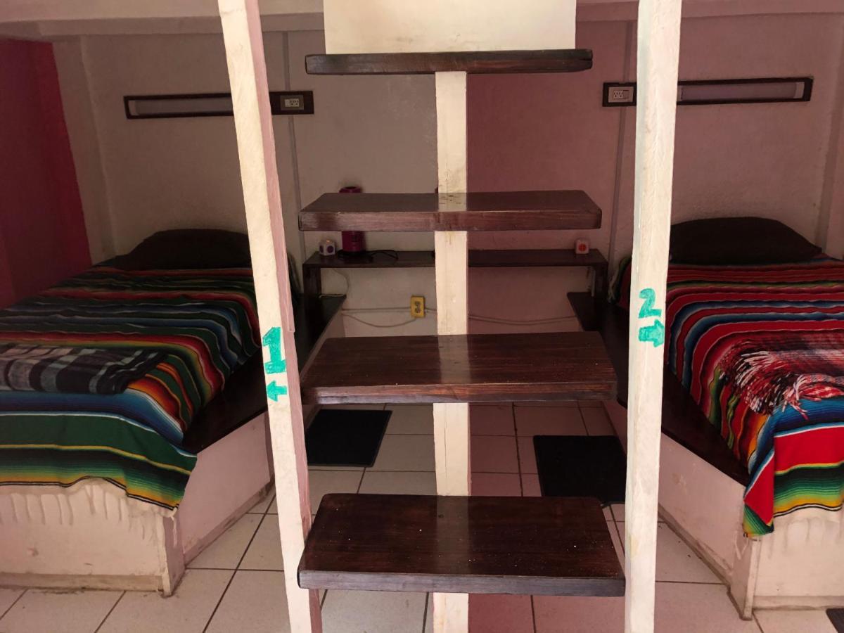 Iguana Hostel Oaxaca Εξωτερικό φωτογραφία