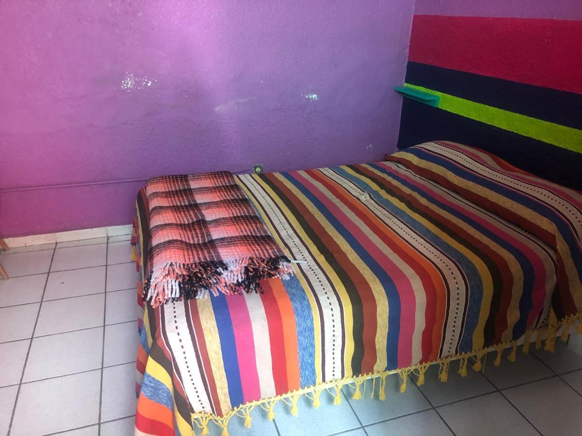 Iguana Hostel Oaxaca Εξωτερικό φωτογραφία