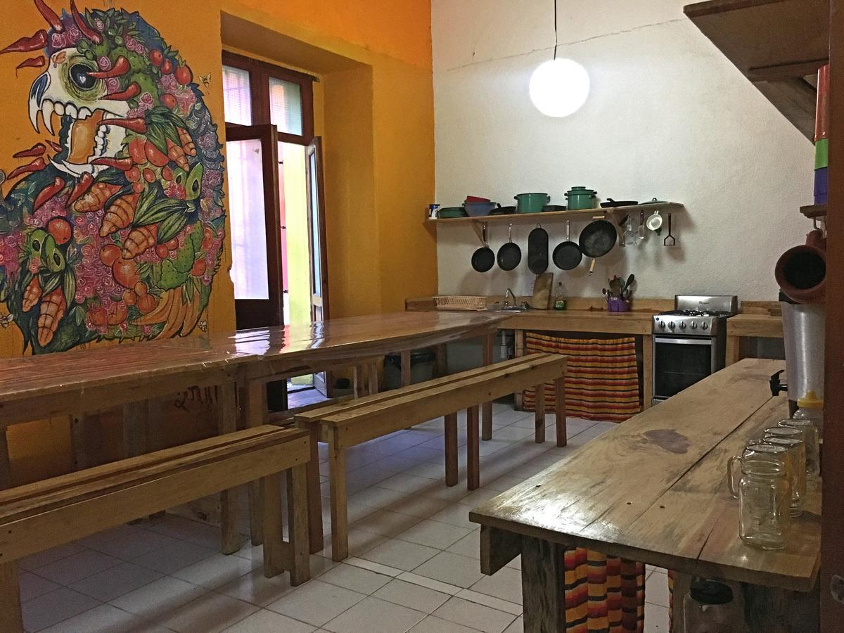 Iguana Hostel Oaxaca Εξωτερικό φωτογραφία