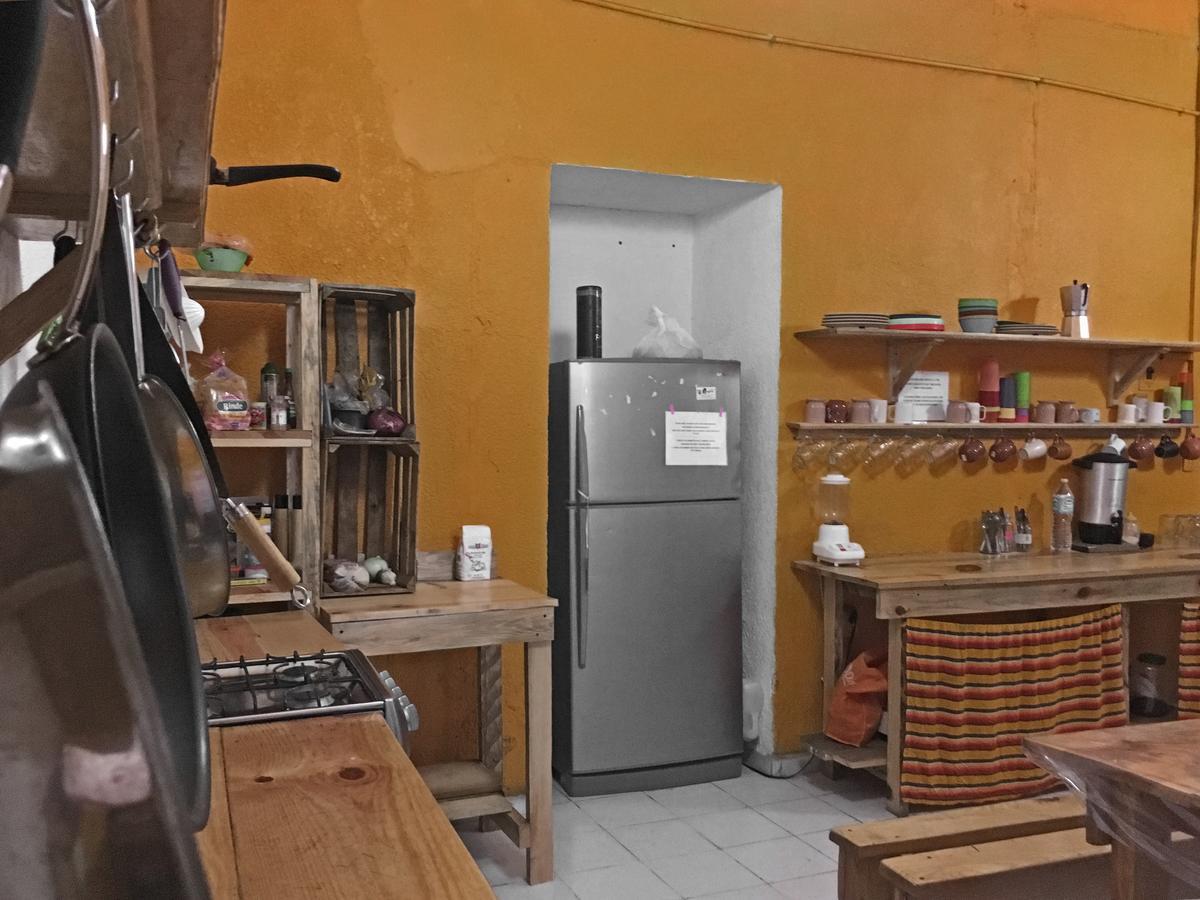 Iguana Hostel Oaxaca Εξωτερικό φωτογραφία