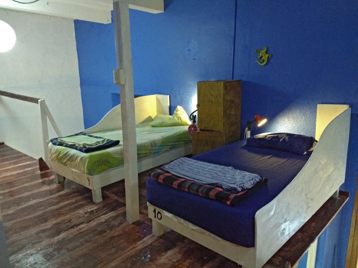 Iguana Hostel Oaxaca Εξωτερικό φωτογραφία