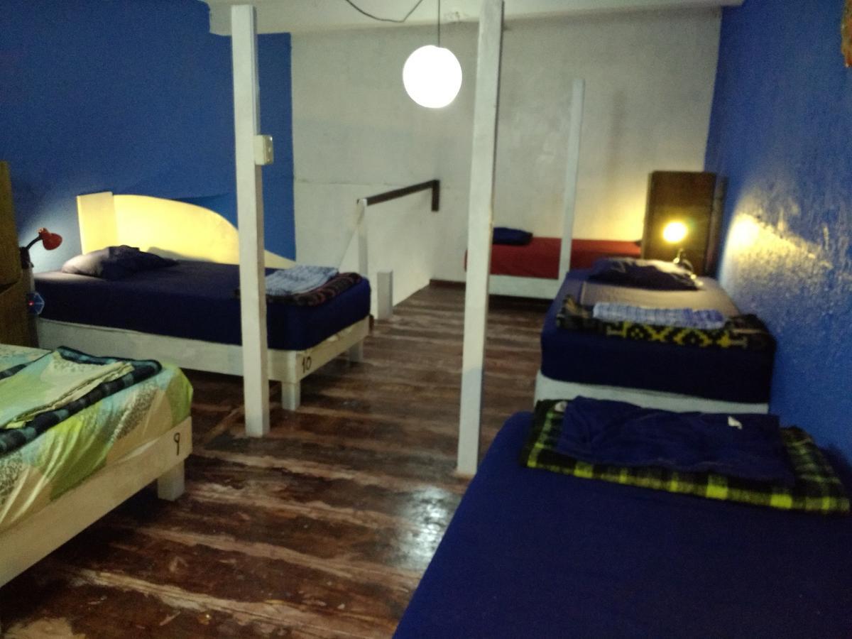 Iguana Hostel Oaxaca Εξωτερικό φωτογραφία